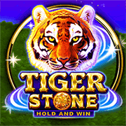 Tiger Stone