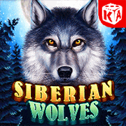 Siberian Wolves